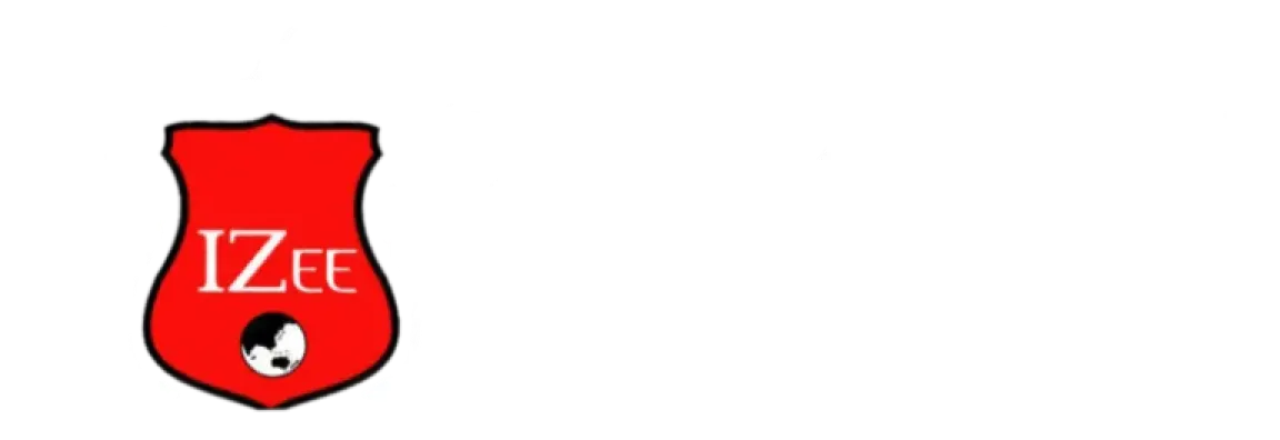 IZEE Business School